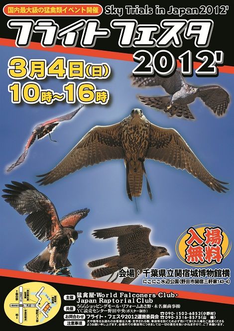 フライトフェスタポスター