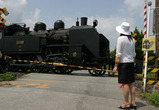 541cc282.jpg