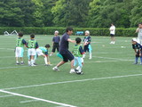 低学年