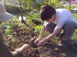 IMG_20170401_073240