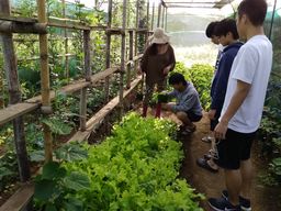 IMG_20170401_070755