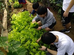 IMG_20170401_070953
