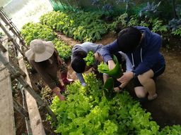 IMG_20170401_070847
