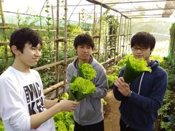 IMG_20170401_071236