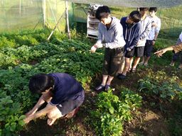 IMG_20170401_065402