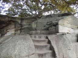 DSCN2267