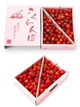 山形佐藤錦_3