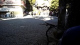 住吉神社@元住吉_20150103