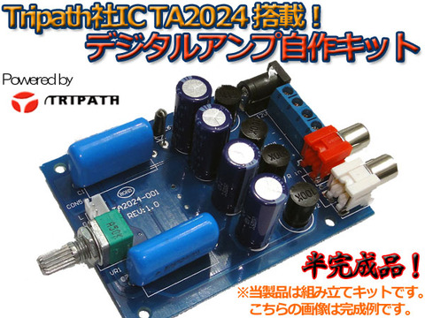 TA2024¥Ç¥¸¥¿¥ë¥¢¥ó¥×¼«ºî¥¥Ã¥È