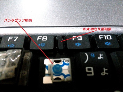 VY14AC-8_¥¡¼²¡¤µ¤¨Éô¡¦¥Ñ¥ó¥¿¥°¥é¥Õ_0063