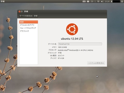 Ubuntu12.04¡÷T30(2.4GHz)