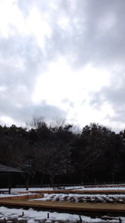c85ca03c.jpg