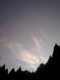 67efb5f1.jpg