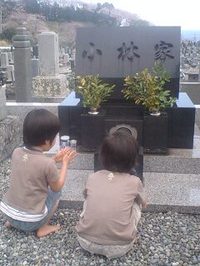 c80f157a.jpg