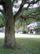 d45b863f.jpg