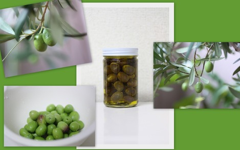 Olive