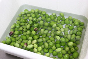 Olive-3