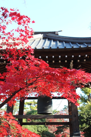 豪徳寺