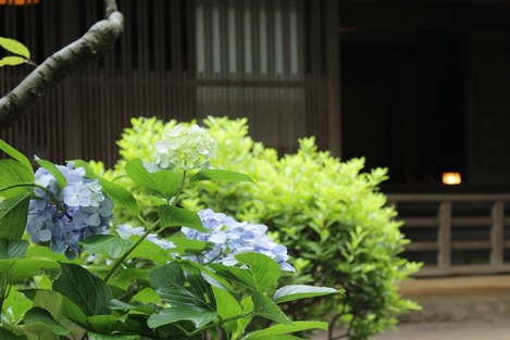 三渓園