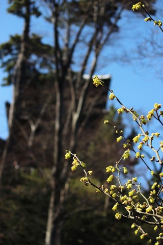 三渓園