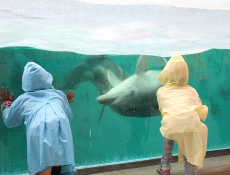 水族館