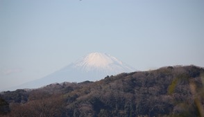 杉本寺からの富士