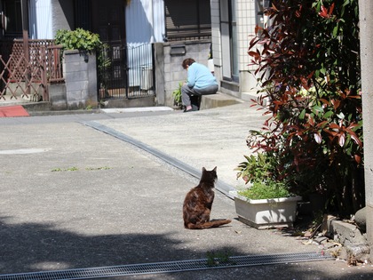 微妙な位置関係