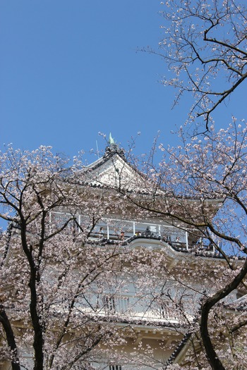 小田原城