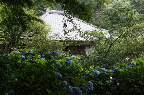 明月院-本堂
