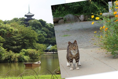 三渓園