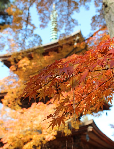 豪徳寺