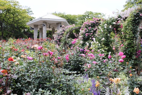 強羅公園