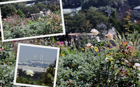 港の見える丘公園