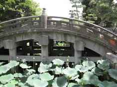 八幡宮-5