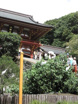 八幡宮-2