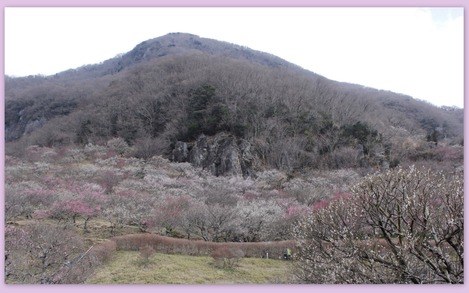 幕山