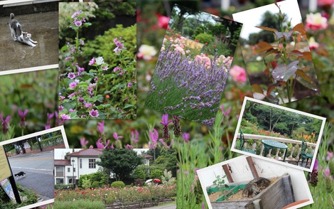 港の見える丘公園