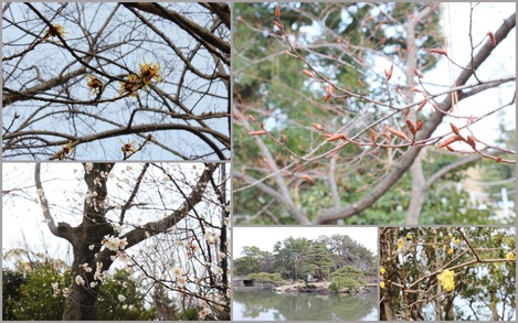 鶴舞公園