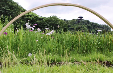 三渓園