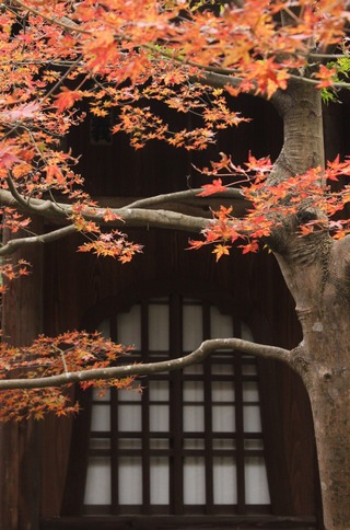 瑞泉寺