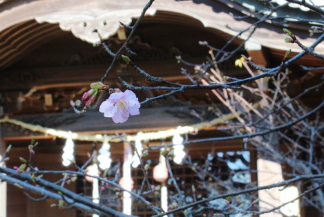 吾妻山神社