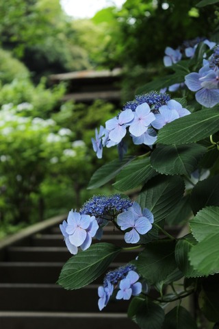 三渓園