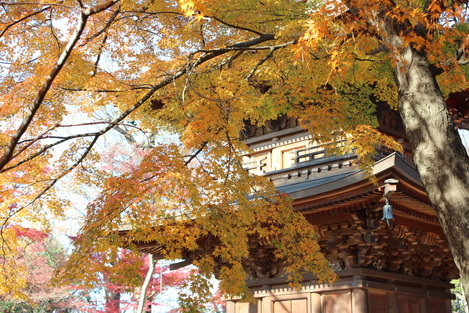 豪徳寺