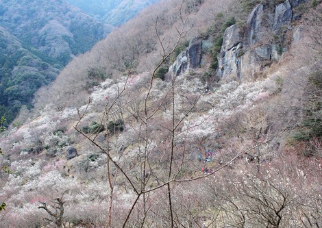 Rock Climbring