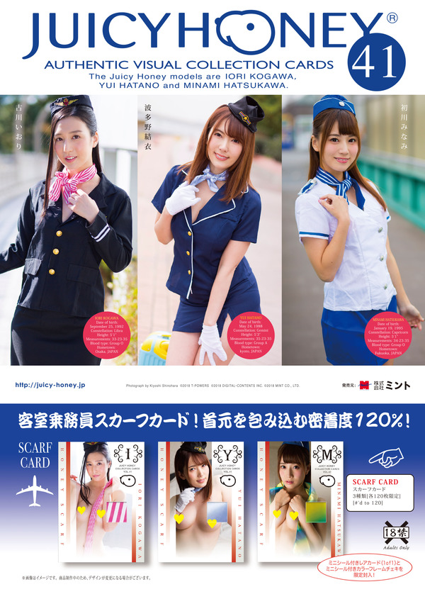 Fly_jh41 (1)