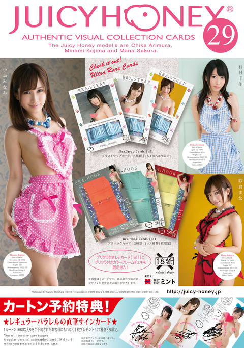 JH29flyer