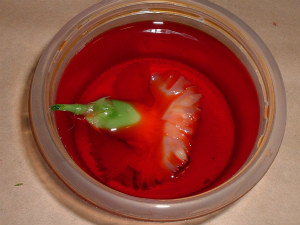 s1205B±Õ¡¦¥ª¥ì¥ó¥¸
