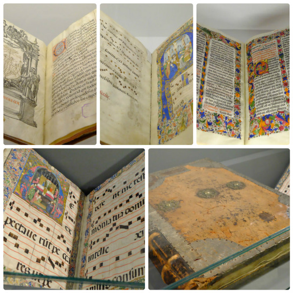 ¥·¥Í¥í¥¹£²