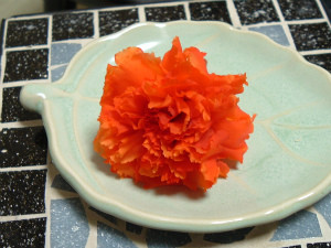 s1206¥«¡¼¥Í¡Ê¥°¥ê¡¼¥ó¡Ë¡¦¥ª¥ì¥ó¥¸