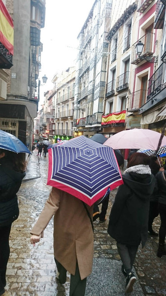 £ó2018-01-06¡¡£µÆüÌÜ¡¡5¥È¥ì¥É»ÔÆâ ¡¡¡¡ (5)